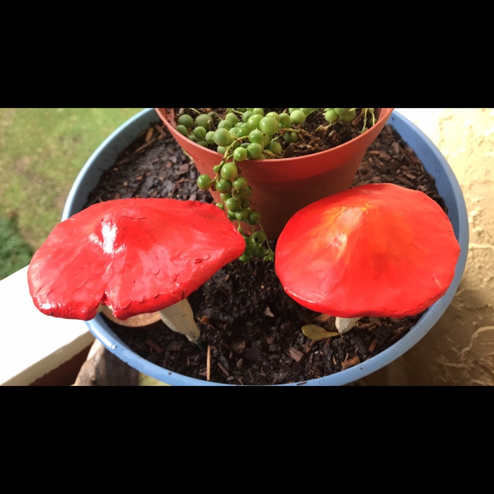 MUSHROOM 🍄 GARDEN STAKE TALISMAN ALGIZ RUNE ✨ - Picture 14 of 16